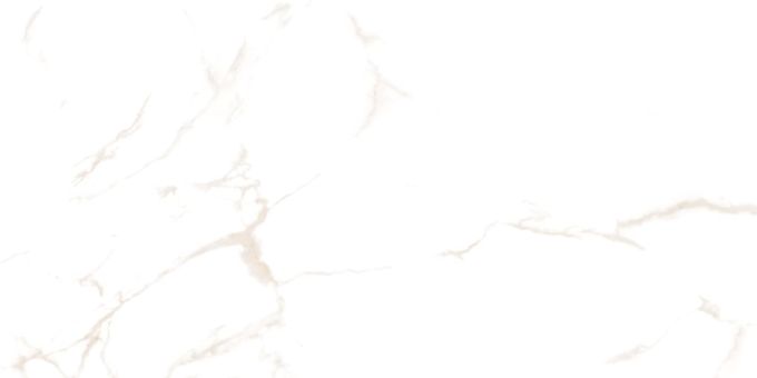 STATUARIO LATTE POLER 60X120