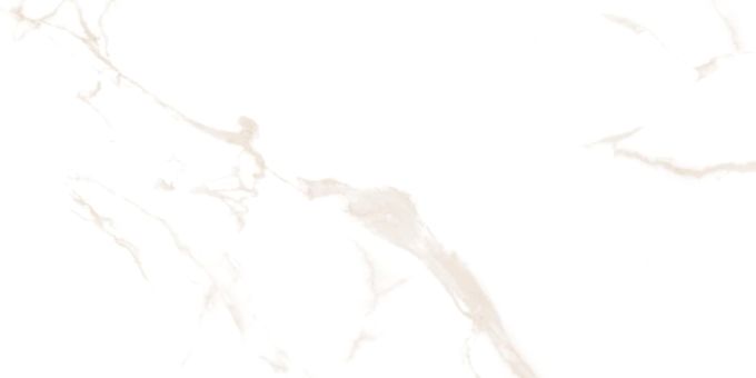STATUARIO LATTE POLER 60X120