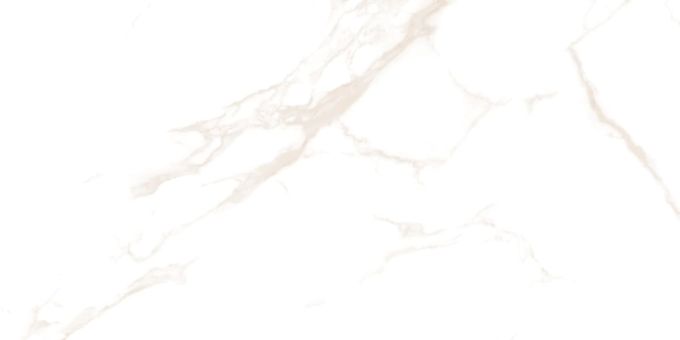 STATUARIO LATTE POLER 60X120