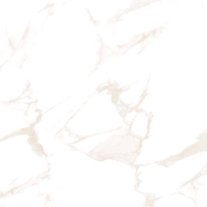 STATUARIO LATTE POLER 60X60