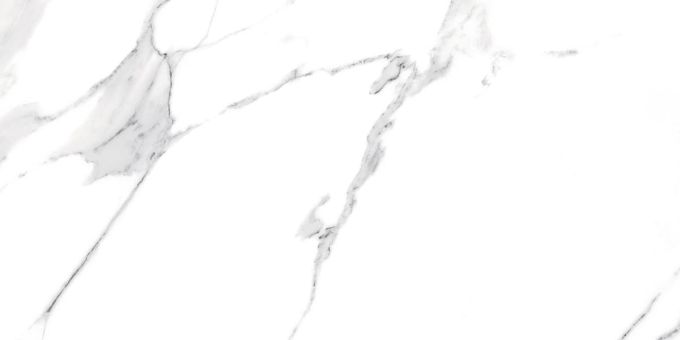 SWISS WHITE POLER 60X120