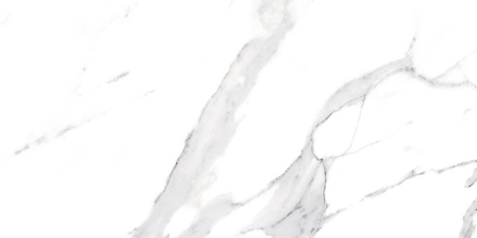 SWISS WHITE POLER 60X120