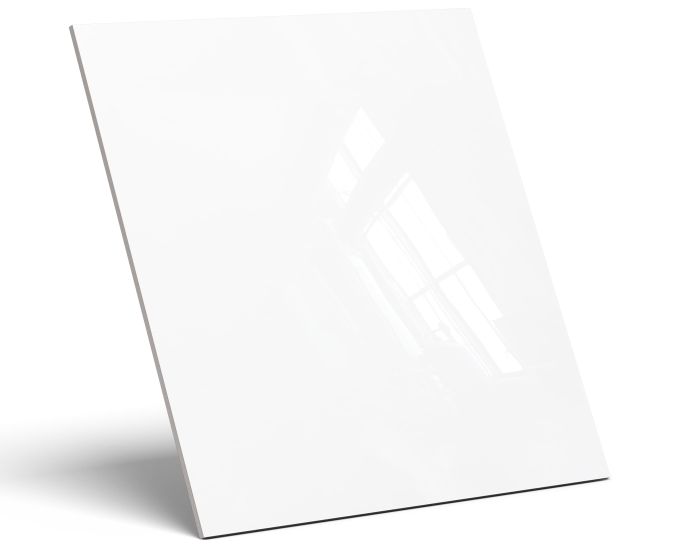 aLASKA_MOCKUP_(1).jpg