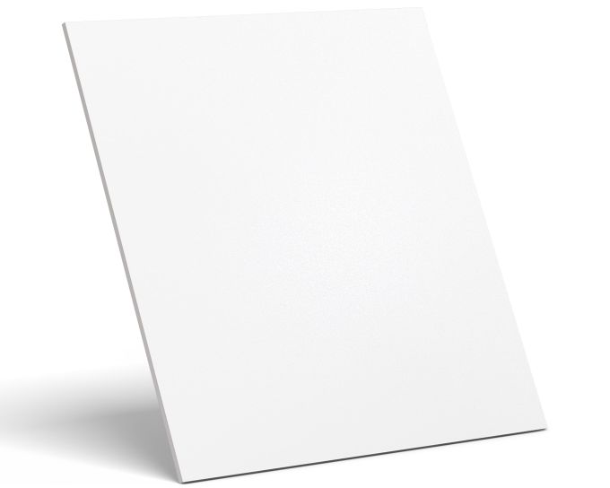 aLASKA_MOCKUP_(2).jpg