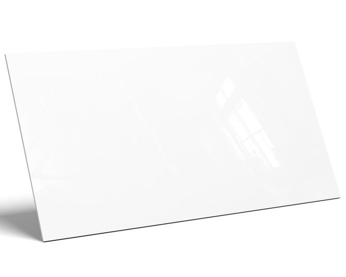aLASKA_MOCKUP_(3).jpg